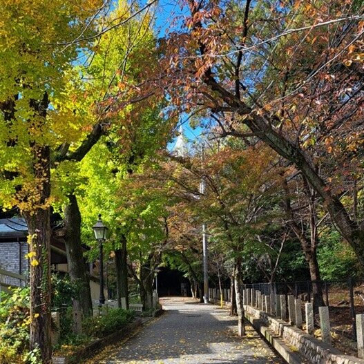 みこころ坂の紅葉